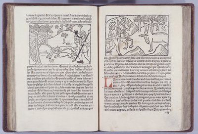 Illustration aus Le Liurse du Roy Modus et de la Reine Racio von Henri Ferrieres, 1486 von French School